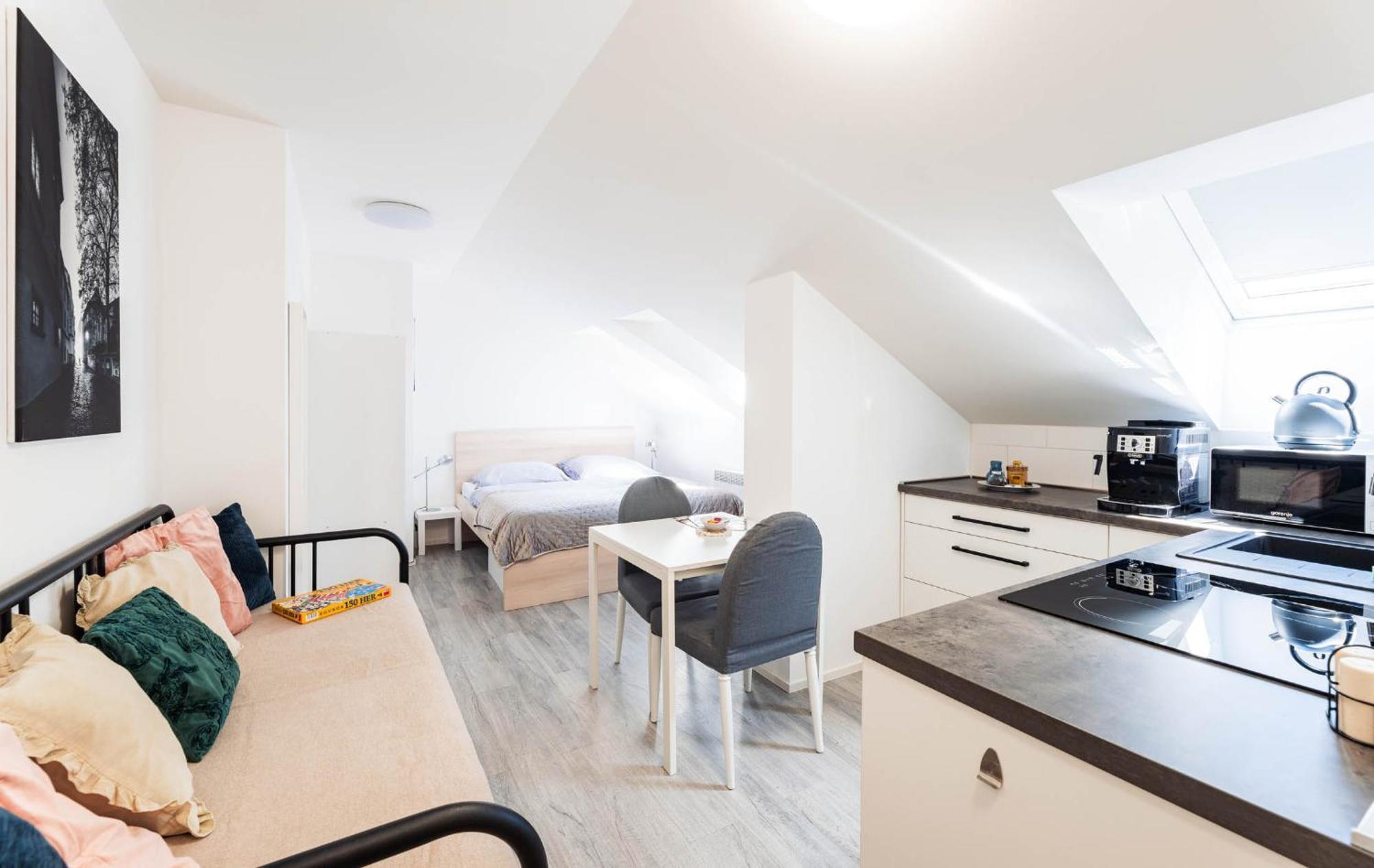 Silvie Apartments - Wurmova 올로모우츠 객실 사진